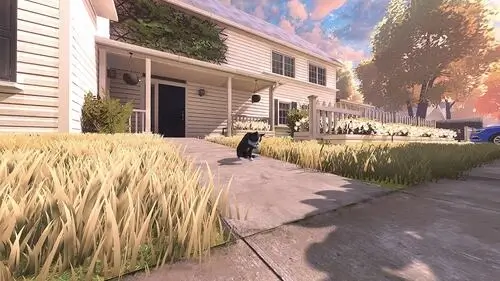 冒牌猫谜 - screenshot 9