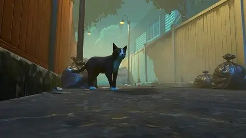 冒牌猫谜 - screenshot 1