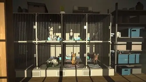 冒牌猫谜 - screenshot 7